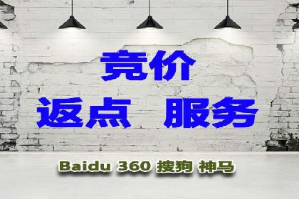 某公司如何通过SEM实现精准营销——从策略到执行的完整案例